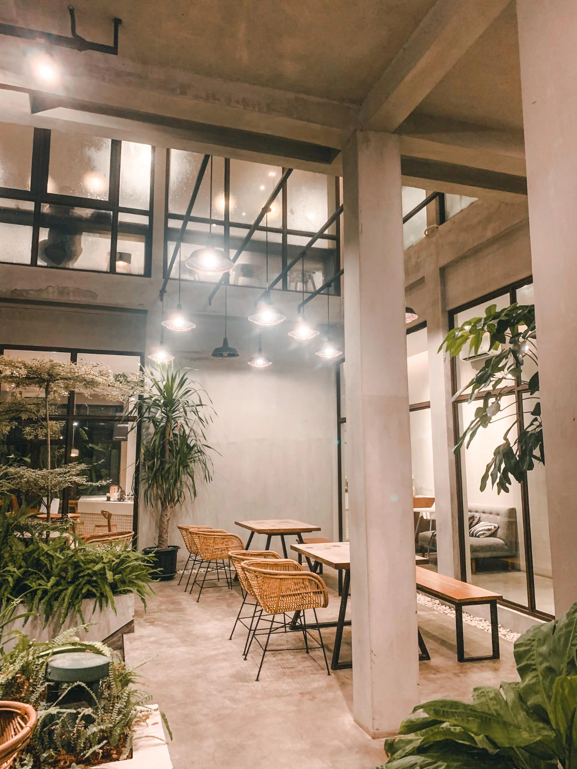 local comercial decorado con plantas y luces